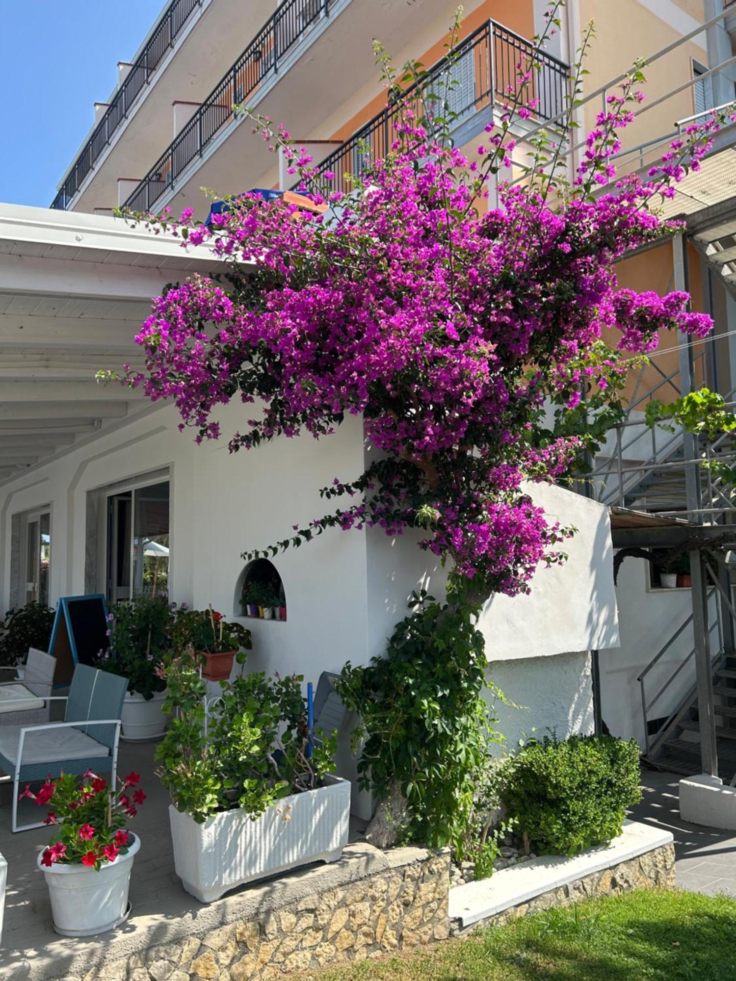 Hotel Ristorante Santa Maria Amantea Ngoại thất bức ảnh